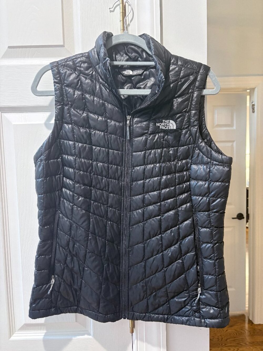 The North Face Women's VEST